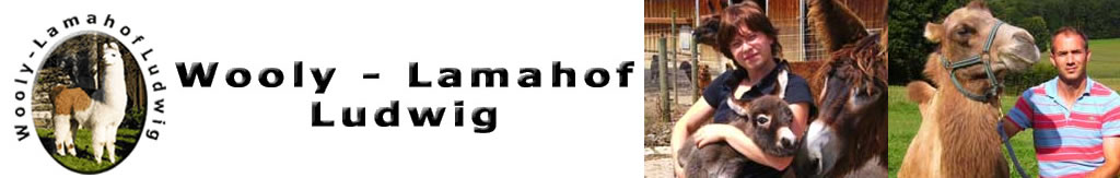 Wooly Lamahof Ludwig
