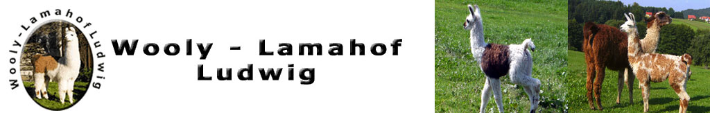 Wooly Lamahof Ludwig Wooly Lamahof Ludwig