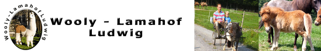 Wooly Lamahof Ludwig Wooly Lamahof Ludwig