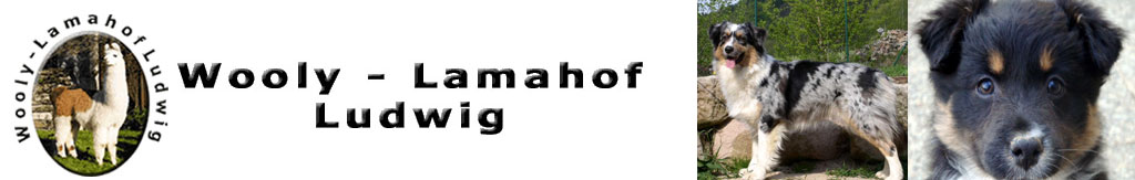 Wooly Lamahof Ludwig Wooly Lamahof Ludwig