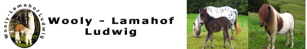 Wooly Lamahof Ludwig