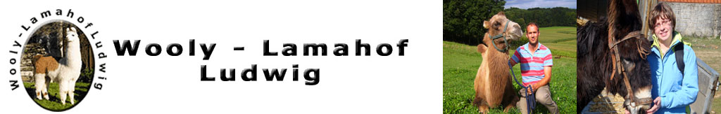 Wooly Lamahof Ludwig